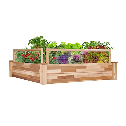 Jumbl Raised Canadian Cedar Garden Bed | Garden Beds Outdoor |...