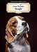 Carnet De Notes Beagle: Chiot ou Chien | A4 139 Pages Avec Papier Quadrillé 5 x 5 mm | Cahier d'exercices | Cahier d'écolier | Graph Paper Journal | Notebook