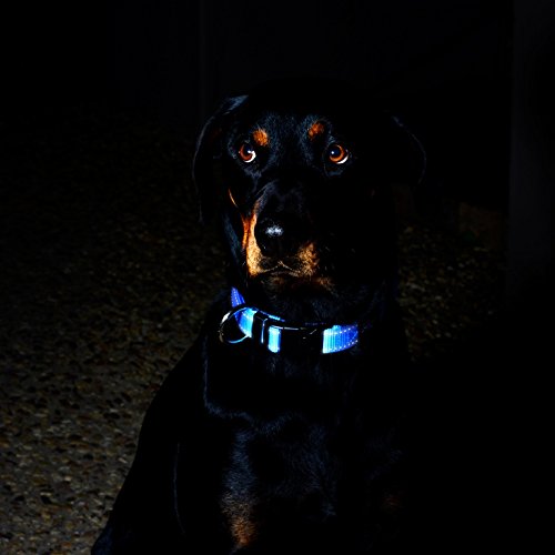 Reflective Dog Collar For Large Dogs, Adjustable From 13-22 Inches, Blue #TOP2