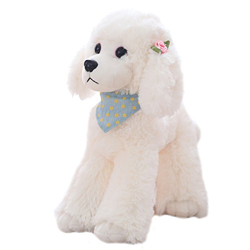 Are Toy Poodles Cuddly