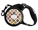 Spices Retractable Dog Leash - Medium (Personalized)