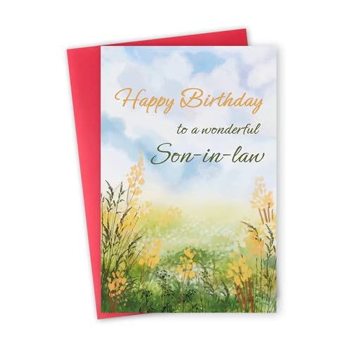 FSSDAS Son in Law Birthday Card, Birthday Card for Him Men, Happy Birthday to A Wonderful Son-in-Law