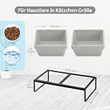 HCHLQLZ Grauer Futternapf für Katzen und Hunde, erhöht, mit Halterung – Katzenschüssel für Kätzchen und Welpen – doppelte Keramikschüsseln gegen Erbrechen und leicht zu reinigen, 2 x 280 ml