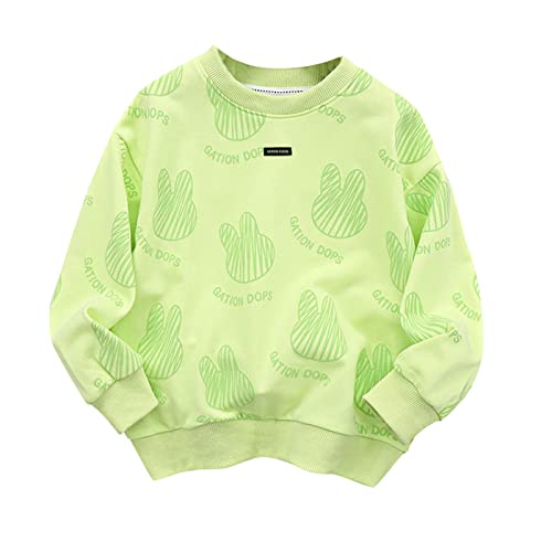 Toddler Baby Boy Girl Long Sleeve Crewneck Sweatshirts Letter Cartoon Rabbit Print Pullover Tops Blouse Fall Clothes