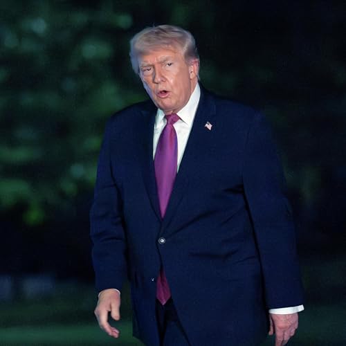 Does Donald Trump have a plan?