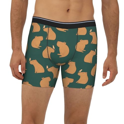 Mens Underwear - Birds Capybaras Boxer Briefs for Men Pack, Mens Boxer Briefs