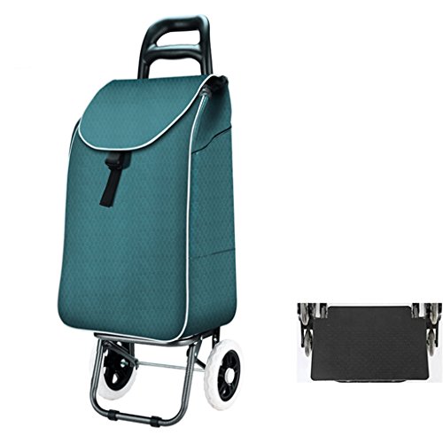 Carrello Portapacchi Pieghevole Leggero Carrello Portapacchi Pieghevole in Acciaio Inox Carrello Spesa 2 Ruote Gommapiuma Eva Spinta Pieghevole, Carrelli Pull con Deflettore A Prova di Perdite