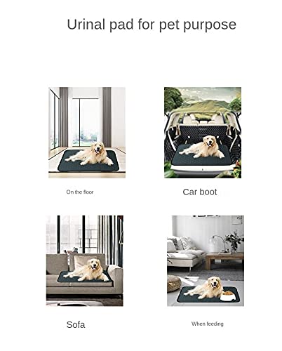 Almofadas laváveis para cães - almofadas reutilizáveis para chiar para cães, gatos, coelho (azul esc