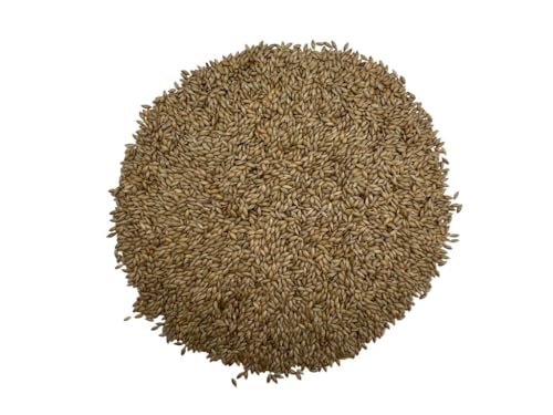 Canary Seeds 8 Oz Natural Grain for Human Consumption