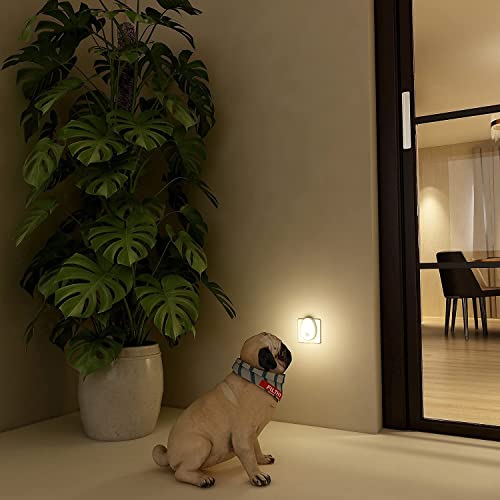 Lyridz Nachtlicht Steckdose mit Bewegungsmelder Strahlend Hell Plug-in Nachtlicht Dimmbar, Smart Warmweißes LED-Licht mit Einstellbarer Helligkeit für Kinder Schlafzimmer Küche Flur 2 Stück