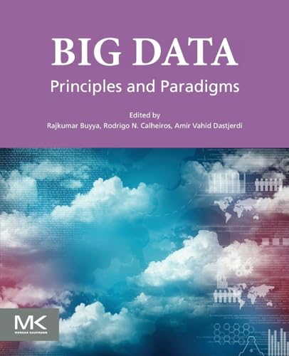 Big Data: Principles and Paradigms view 2