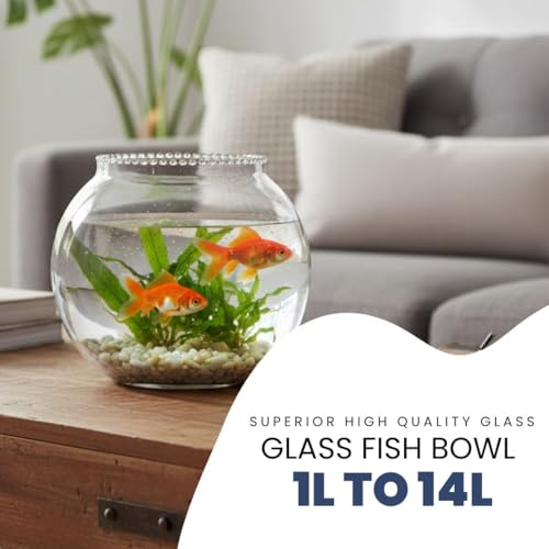 Image of CAS 1L to 14L Glass Fish Bowl 13.6 L(12 INCH, Surface (Glass) Fish Bowl)