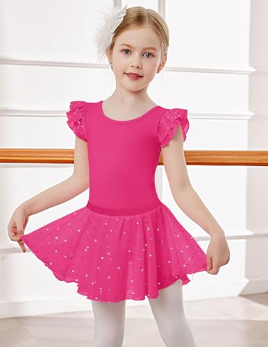 Zaclotre Ballet Leotards for Girls Toddler Ruffle Sleeve Crisscross Back Dance Dress Outfit with Removable Skirt Combo2