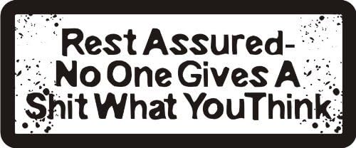 3 - Rest Assured- No One Gives A Shit What You Think 1 1/4" x 3" Hard Hat Biker Helmet Stickers Bs480