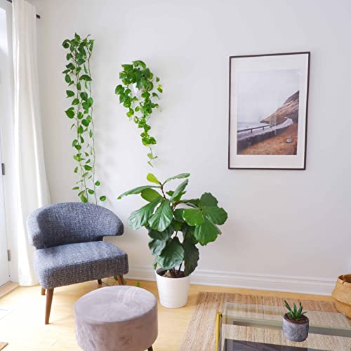 Make Good Virgo Wall Planters (Geometric, Set Of 6) - Easy To Water And Install - Lightweight - Design Your Own Vertical Garden - Melamine Plastic #TOP3