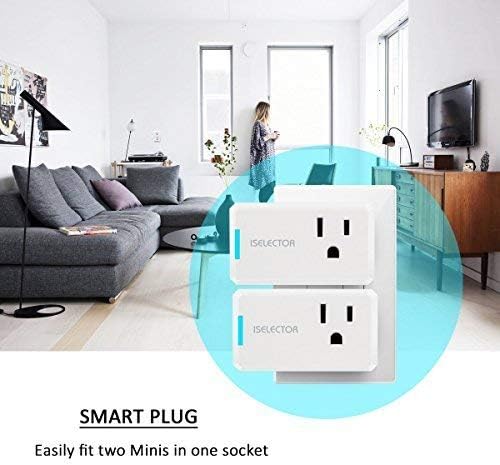 ISELECTOR Mini Smart Plug (2-pack)