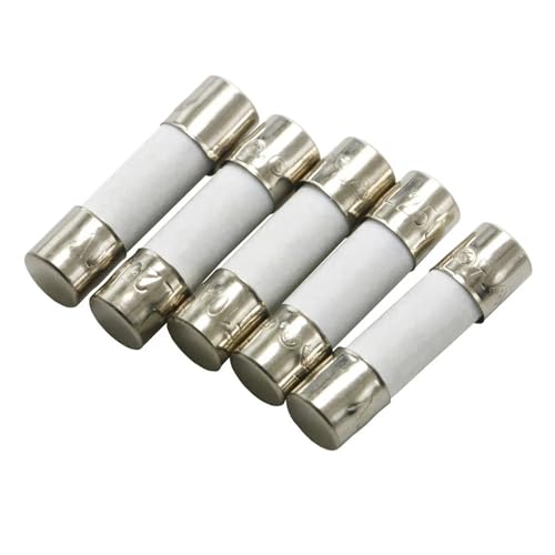 Tube à fusible en céramique 5x20mm de haute résistance thermique 10A