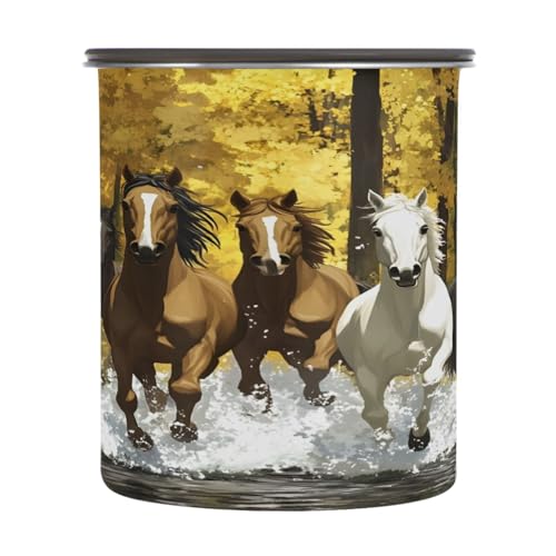 Contenedor de café al vacío Qilmy acero 30oz
