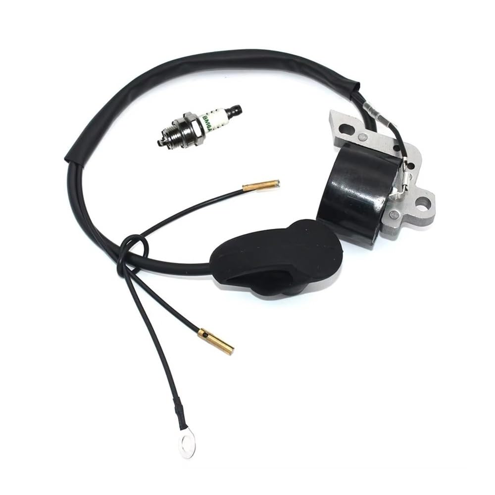 Module d'allumage haute tension FS450 avec bougie BM6A incluse