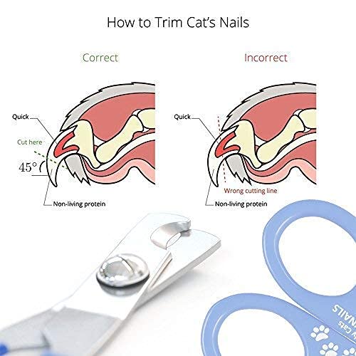 Cat Nail Clipper - Superior Sharpness - Veterinarian Designed - Professional Pet Nail Trimmer For Small Dogs, Rabbits, Guinea Pigs And Birds #TOP4