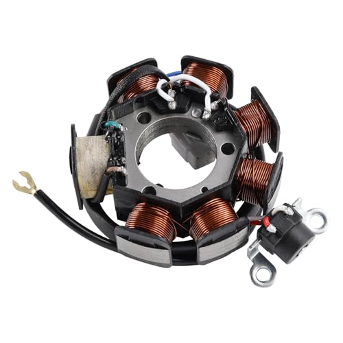 Topteng Magneto Generator Stator Coil for Yamaha YBR125 YBR125E YBR125EGS YBR125G 2004/2006/2008/2010/2013-2024, for Yamaha YB125 2CS 2013-2022 5VL-H5510-00 5VL-H5510-01