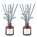 TIENDIFY - Ambientador Mikado Decorativo Ambar Zen | 40 ml con Flor Ornamental | Difusor de Varillas para hogar Oficina y salón Ideal para Espacios Interiores (2 Unidades, Palo Santo)