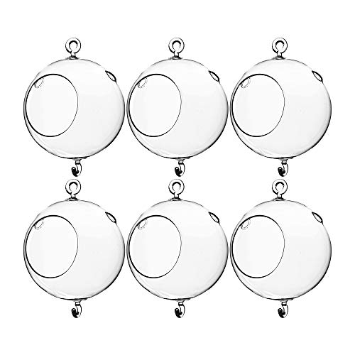 WGV hanging terrarium globe 5in wide 7in tall with double hooks