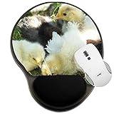 MSD Mousepad Wrist Rest Protected Mouse Pads, Mat with Wrist Support, Image ID: 22211455 Small Chickens Chicks of Meadow r