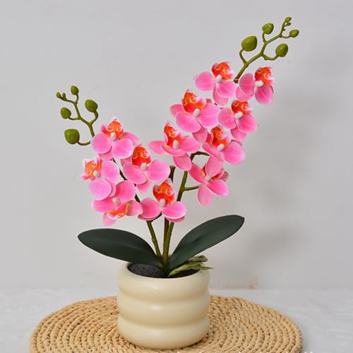 lHϗtA Ӓ    CeA  { u A[gt[ lHA ϗtA bsv k A[g ins  Vj v[g  Be er