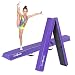 ZENY 6ft Folding Gymnastic Balance Beam Bar,Foam Low Floor Extra Firm Balance Walking Beams for Home,Anti-Slip Base,Gymnastics Training Equipment for Kids Adults