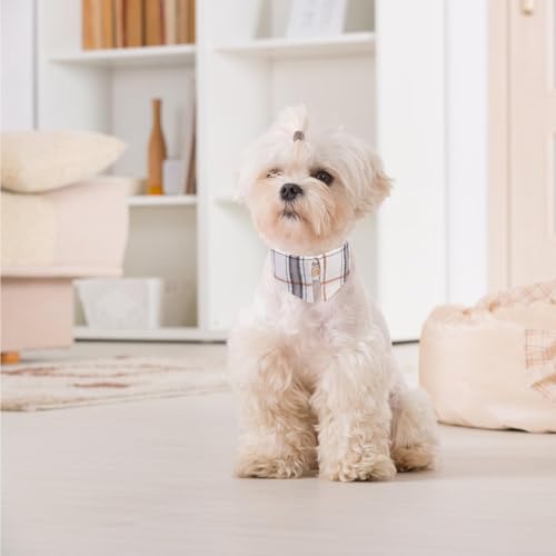 Image of EXPAWLORER Dog Collar and Leash Set - Classic Plaid Dog Collar with Bow Tie and Cute Bell, Dog Leash No Tangle, Adjustable Dog Collar for Small Medium Dogs Cats, Holiday Ideal Gift, Yellowish XS