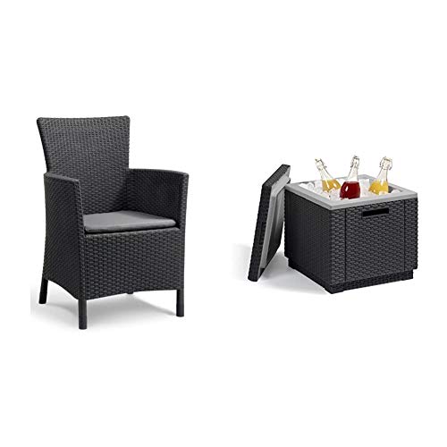 Keter Iowa Sillón de Exterior e Interior con cojín Incluido, Grafito + Ice Cube Mesa Nevera para jardín, Grafito