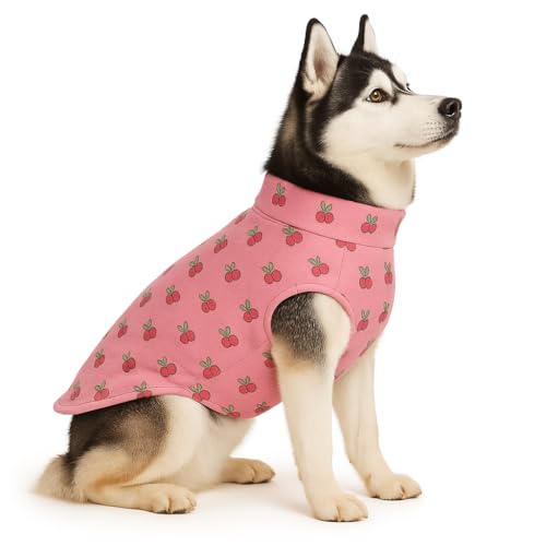 Image of The Pets Company Dog Winter Coat Jacket, Cloth, Windproof, Reversible, Light Weight, Washable, Ultra Warm Thick Fleece Lined Dog Vest for Cold Weather Protection, (Pink Cherry, Med - Large - 22 Inch)