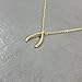 Lil Pepper Jewelry Wishbone Gold Plated Necklace Dainty Pendant Good Luck Wishful Bone