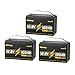 12V 100Ah LiFePO4 Lithium Battery 3 Pack, 12 Volt Lithium Batteries Group 31 Low-Temp Protection Built-in 100A BMS, Up to 15000 Deep Cycles, 1280Wh Rechargeable Lithium Battery