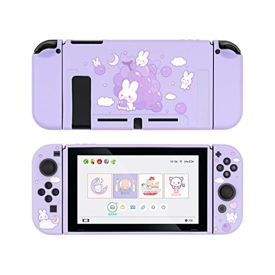 Nintendo Switch case!