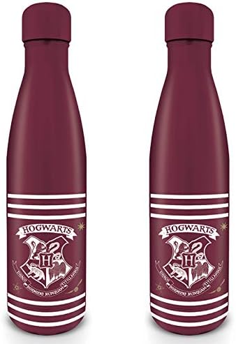 harry potter thermos