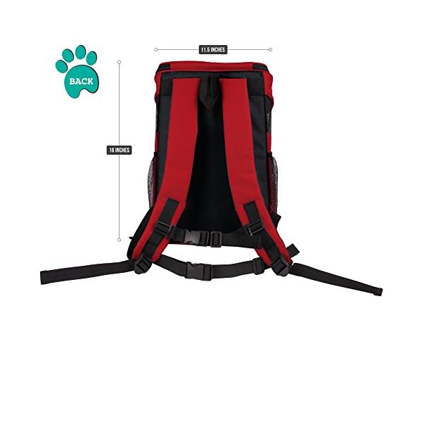 Red Dog Carrier Backpack for Outdoor Use