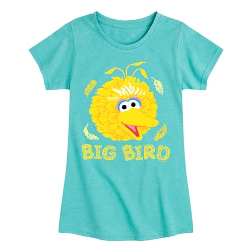 Sesame Street - Big Bird Face - Girls Fitted Short Sleeve Graphic T-Shirt