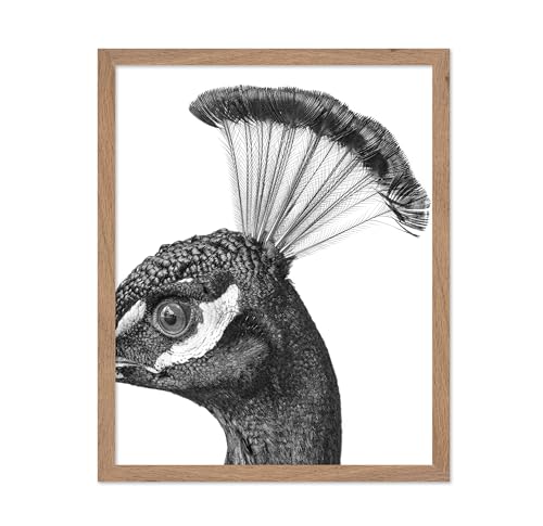 Poster Master Vintage Peacock Poster - Retro Peacock Head Print - Bird Portrait Art - Gift for Him, Her, Bird Watcher, Animal Lover - Decor for Home, Office, Living Room, 16x20 Beige Framed