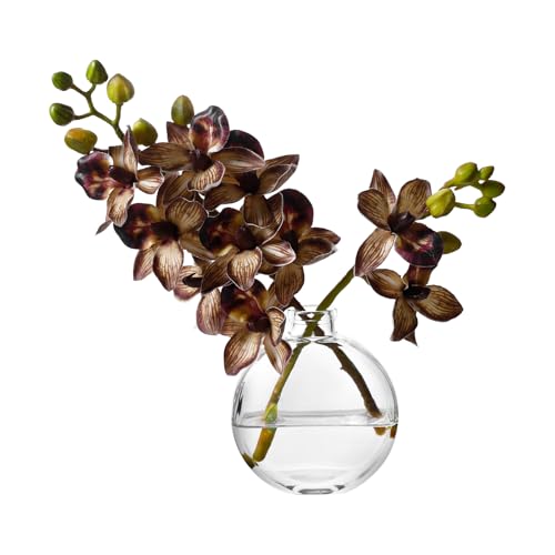 Artificial Orichid Artificial Flowers in Clear Glass Water‑Filled Vase –