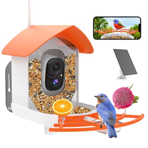 Bird Feeder with Camera, solar powered AI video bird watcher