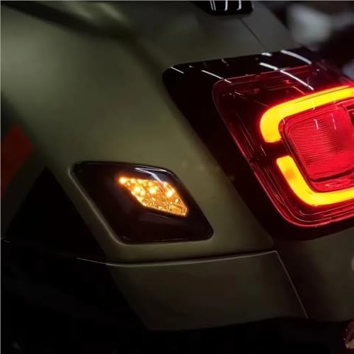 Clignotants avant arrière et feu stop GTS 300 finition premium - 6