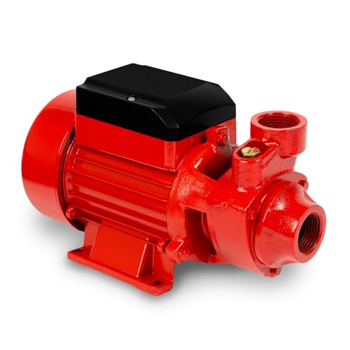 EBERTH Wasserpumpe Gartenpumpe Kreiselpumpe Saugpumpe, 1 Zoll Anschluss, 750 Watt Leistung, 8m Ansaughöhe, 50m Förderhöhe, 2.400 L/h Fördermenge, selbstansaugend, elektrisch 230V für klares Wasser