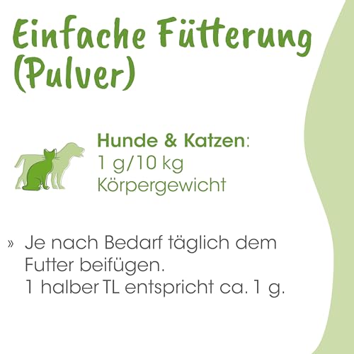 cdVet ArthroGreen Junior 25g – Ergänzungsfuttermittel für Hunde und Katzen mit Grünlippmuschel und Kräutern