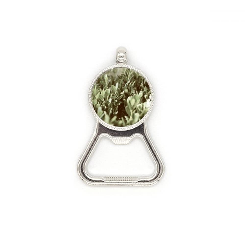 Décapsuleur en acier inoxydable Sunshine motif feuilles idée cadeau originale