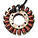 Motorcycle Generator Stator Coil Compatible With Automotive Motorcycle Parts CBR600 CBR600F4i 2001 2002 2003 2004 2005 2006 For Part Number 31120-MBW-J21