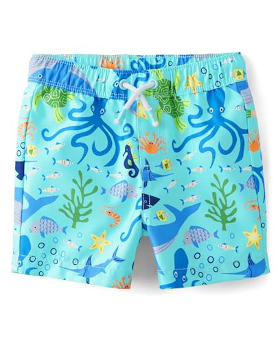 Image of Gymboree Boys and Toddler Swim Trunks