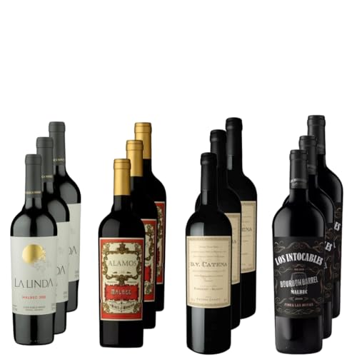 MEGA COMBO ADEGA - 12 Vinhos Tintos Argentinos