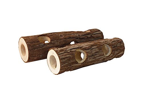 KomodoForest Tunnel, X-Large